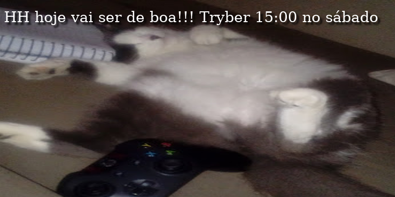 Gata dormindo largada no sofa - mensagem. HH hoje vai ser de boa. Tryber 15:00 no sábado