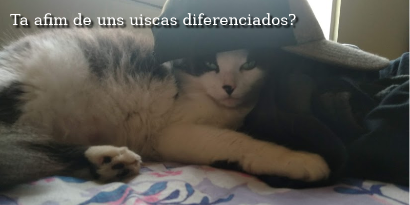 Gata com um bone - mensagem. Tá afim de uns uiscas diferenciados?